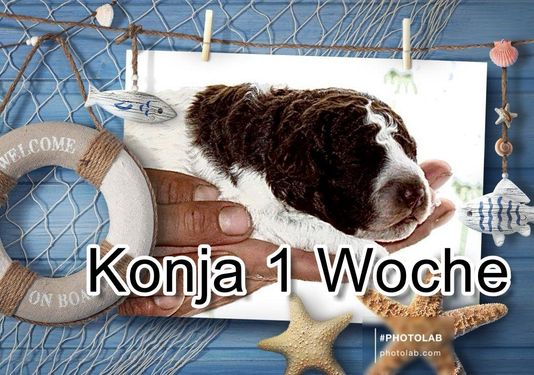 Woche 1