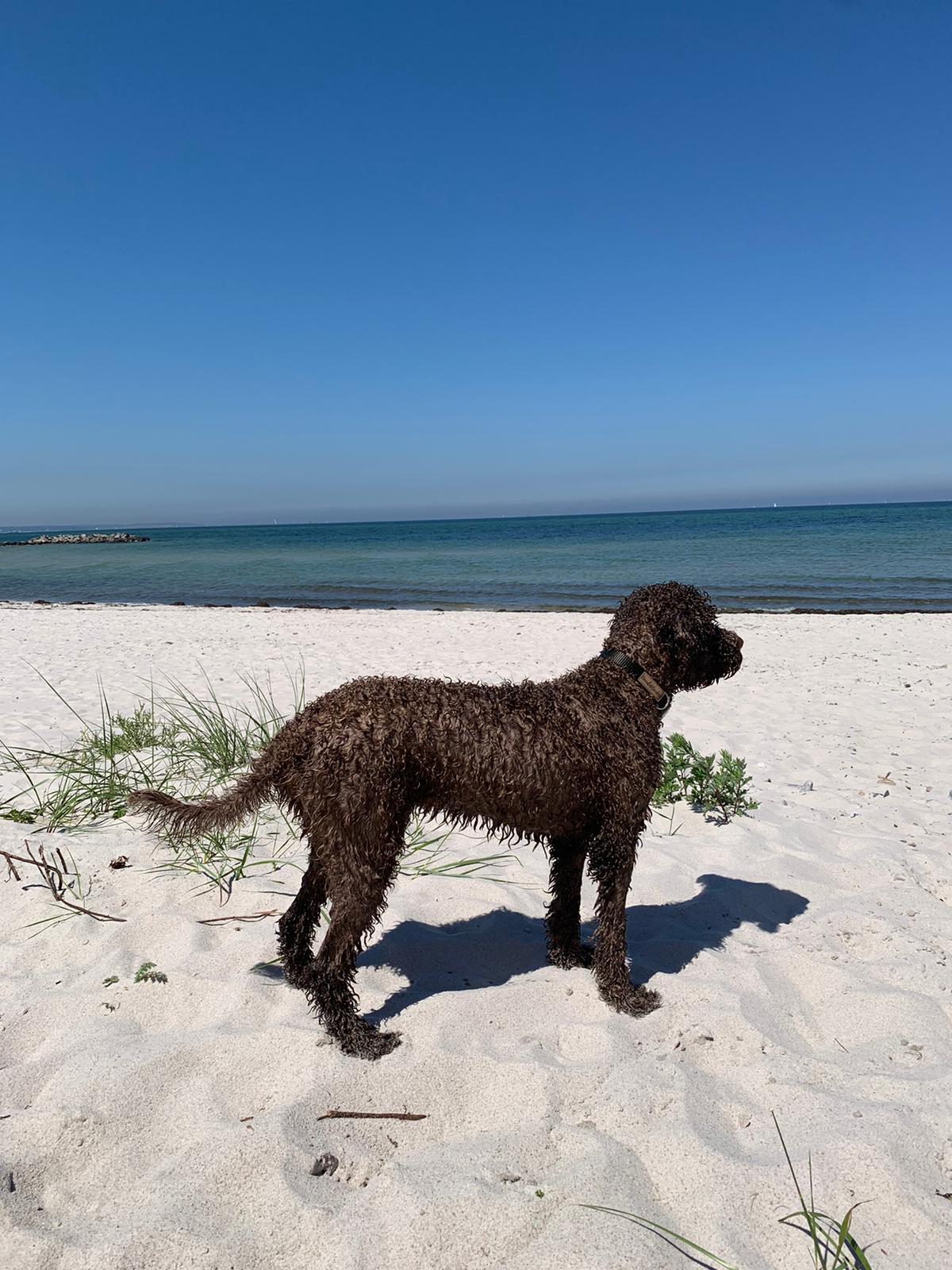 Here i am-Heidi