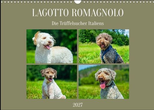 2026-07-12_Kalender Lagotto Romagnolo_Rittergut München_Starick Sigrid--